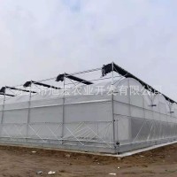 薄膜連棟溫室 農(nóng)業(yè)育苗多用途溫室大棚 蔬菜種植養(yǎng)殖大棚廠(chǎng)家供應(yīng)